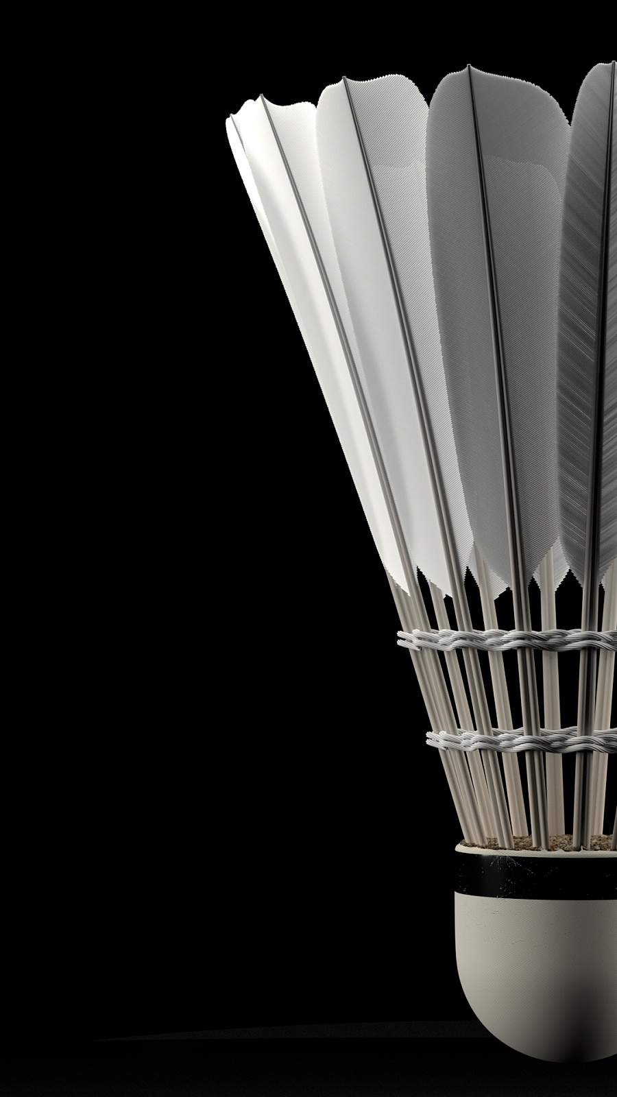 不仅提升了 不仅提升了